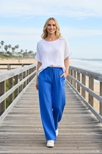 AE Luxe Wide Leg Pant