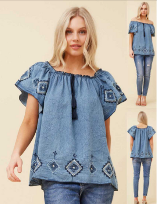 Parnika Embroidered top