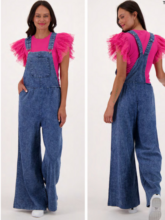 Gabby Denim Overalls