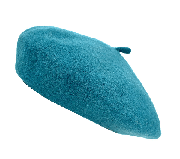 AUTN hat Wool Beret