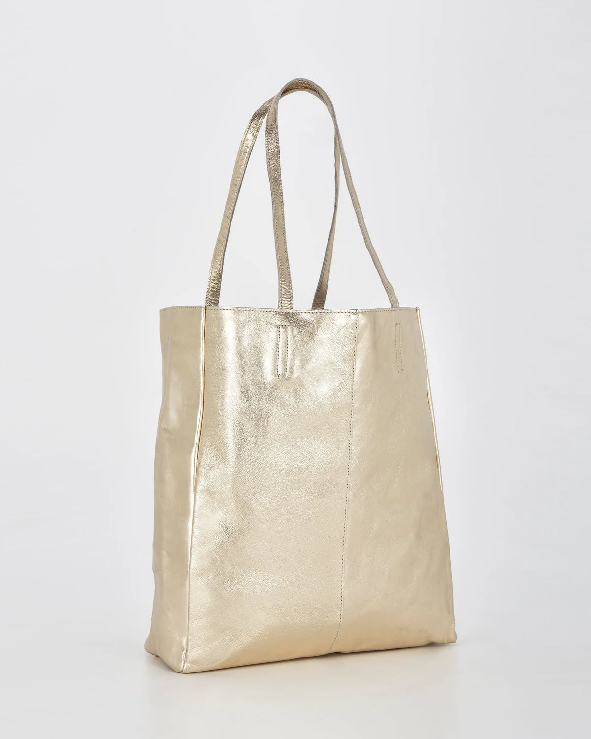 Venus Metallic Leather Hobo